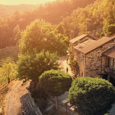 Cascina Bertolotto Wine Resort Spigno Monferrato المظهر الخارجي الصورة