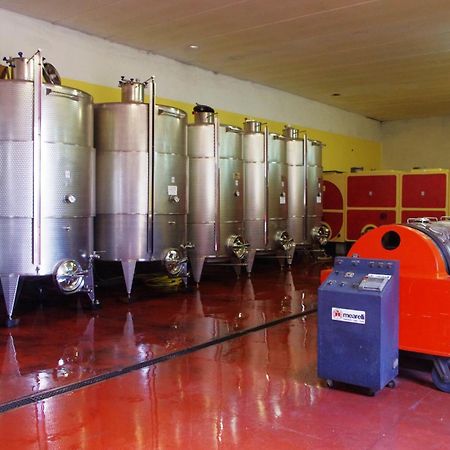 Cascina Bertolotto Wine Resort Spigno Monferrato المظهر الخارجي الصورة