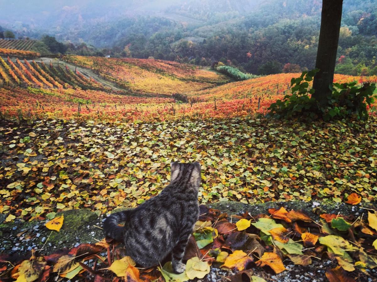 Cascina Bertolotto Wine Resort Spigno Monferrato المظهر الخارجي الصورة