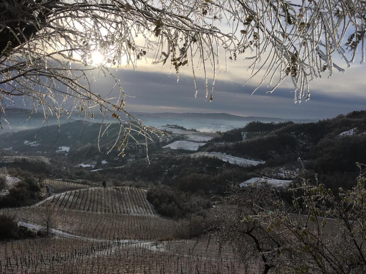 Cascina Bertolotto Wine Resort Spigno Monferrato المظهر الخارجي الصورة