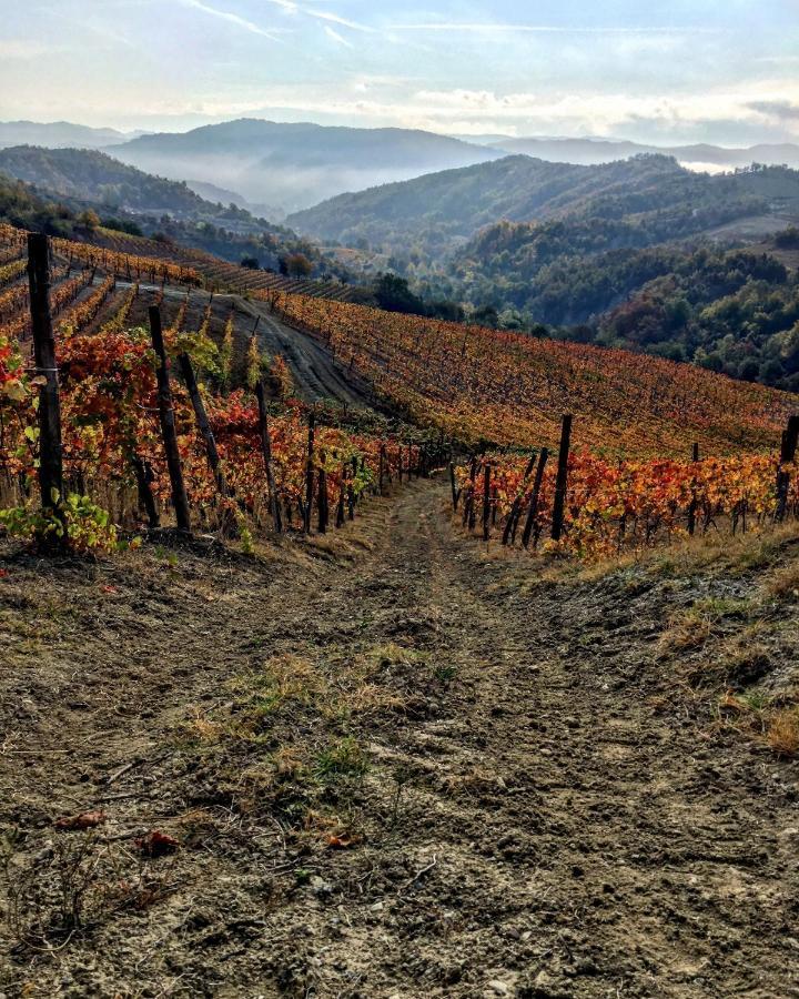 Cascina Bertolotto Wine Resort Spigno Monferrato المظهر الخارجي الصورة