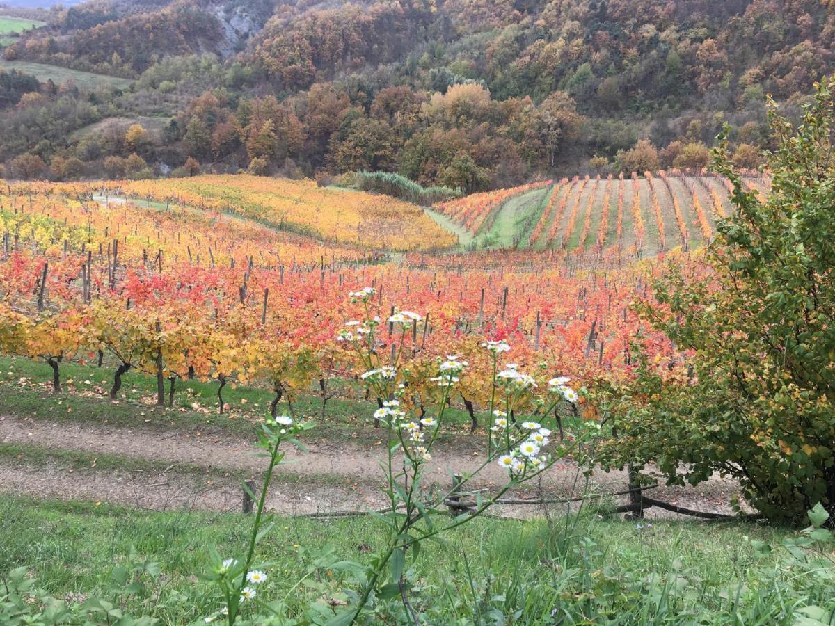 Cascina Bertolotto Wine Resort Spigno Monferrato المظهر الخارجي الصورة