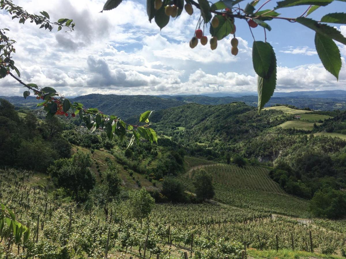 Cascina Bertolotto Wine Resort Spigno Monferrato المظهر الخارجي الصورة