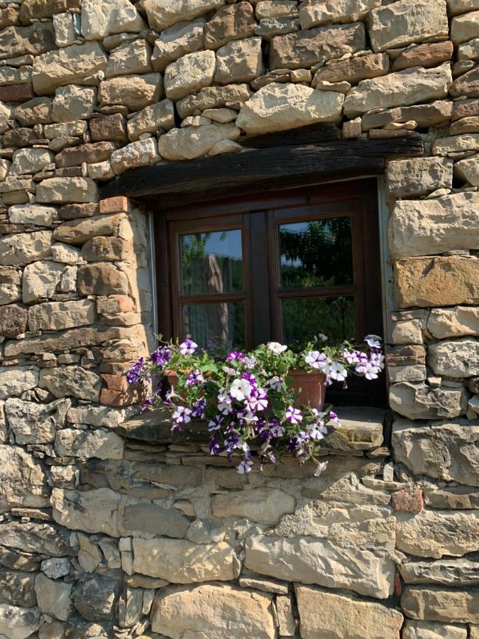 Cascina Bertolotto Wine Resort Spigno Monferrato المظهر الخارجي الصورة