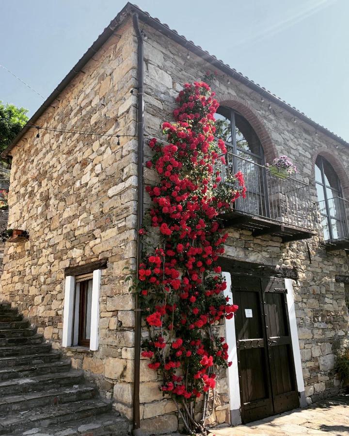 Cascina Bertolotto Wine Resort Spigno Monferrato المظهر الخارجي الصورة