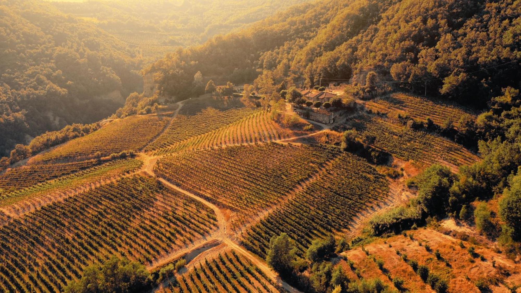 Cascina Bertolotto Wine Resort Spigno Monferrato المظهر الخارجي الصورة